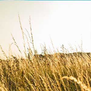 Esto es recibir a Cristo