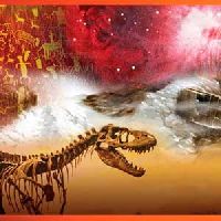 Creación o Evolución