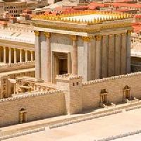 El nuevo templo - P. 35