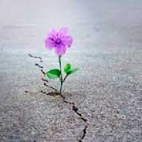 Encontrando esperanza en medio de las crisis - P. 7