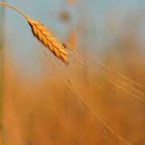 Programación - 27 de Febrero de 2025